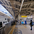 SP_JAPAN_002.jpg