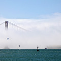 PFZ82_SANFRANCISCO_140.jpg