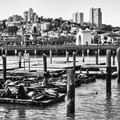 SP_SANFRANCISCO_007.jpg